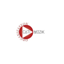Çatı Müzik, Stüdyo Organizasyon